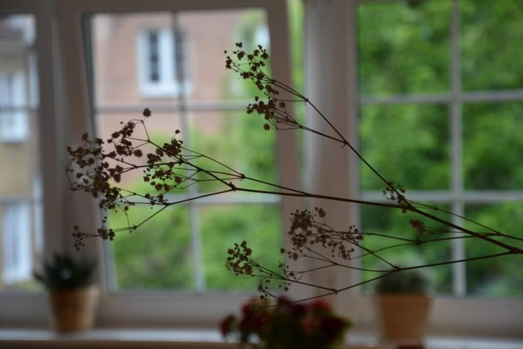 Ines Apartament Two Levels 105M2 In The Old Town Wi-Fi, Olsztyn  Luaran gambar
