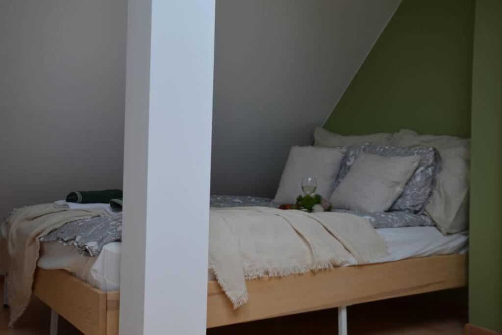 Ines Apartament Two Levels 105M2 In The Old Town Wi-Fi, Apartment Olsztyn  Luaran gambar